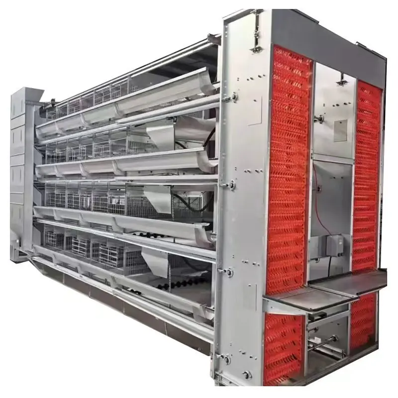 Automatic Layer Chicken Cages, Egg Collection and Manure Cleaning System, Poultry Farm Equipment, Multi-Level Cage System