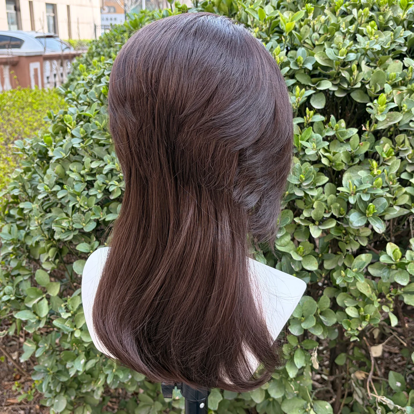 13x4 Synthetic Lace Front Wig for Women Brown Widow's Peak Natural Straight Mullet Synthetic Wigs Wolf Tail Lace Cosplay Wig