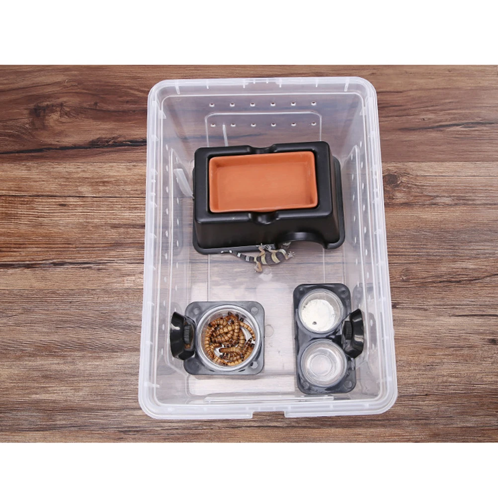 

1pc Double Compartment Feeder Bowl Thick Glass Reptile Food Water Dish For Lizard Scorpion Pet Supplies Reptile