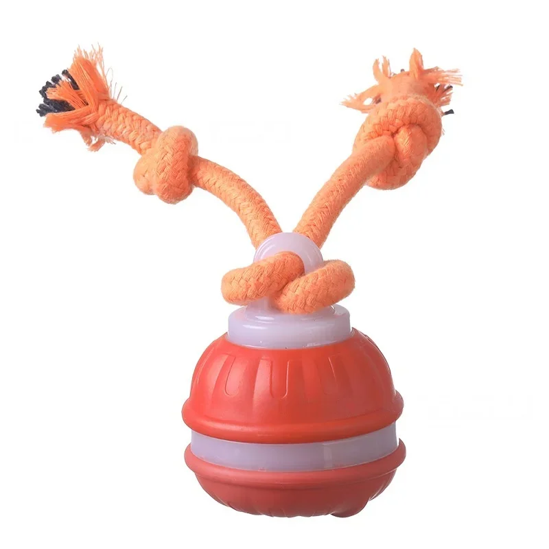 Thumbnail 3 - #7 New Dog Fetch Toys Arrivals