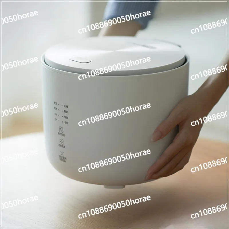 Small Household Low Sugar Rice Cooker 2 Liters