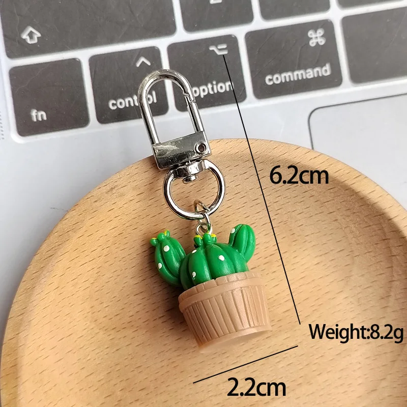 الراتنج ثلاثية الأبعاد الصبار بوعاء المفاتيح كيرينغ للنساء الرجال صديق لطيف الإبداعية عصاري زهرة النبات حقيبة صندوق مفتاح السيارة الملحقات #5