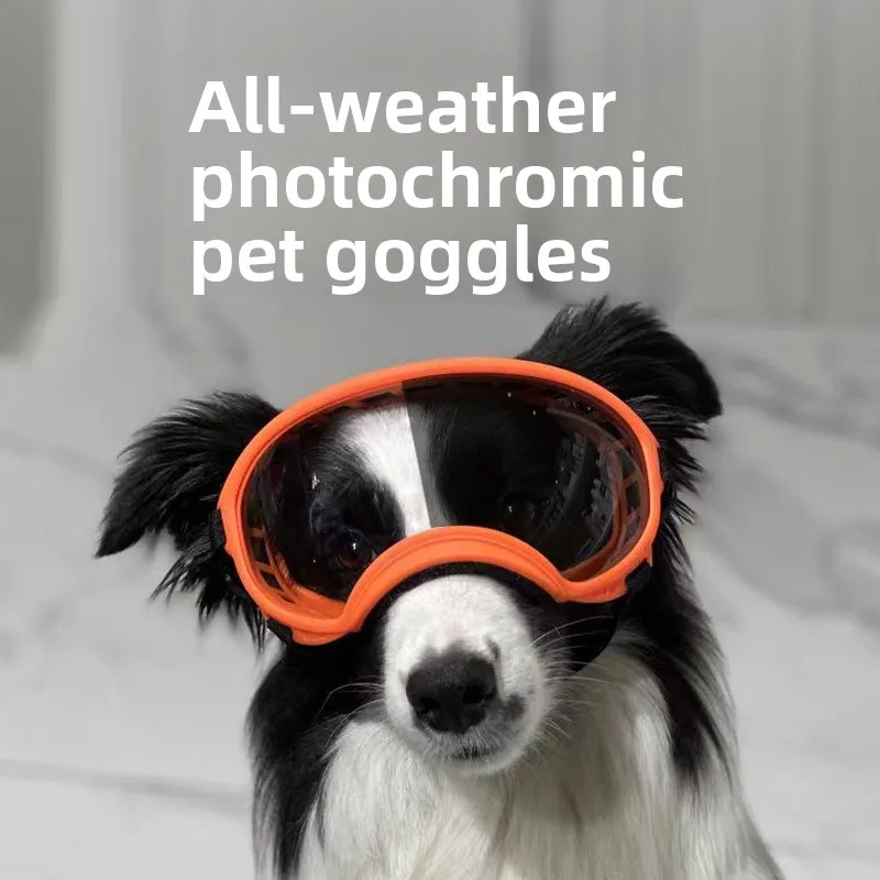 Color-Changing Pet Glasses Accessories UV Protection Windproof ...