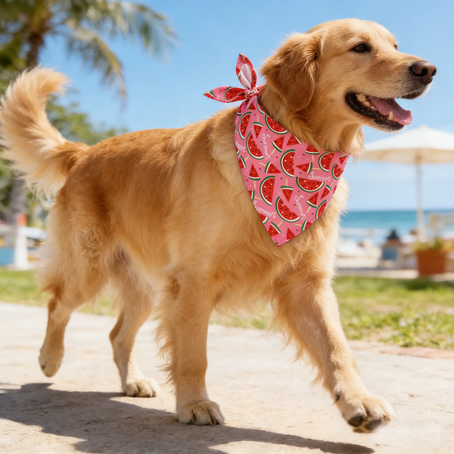 Sommerliches Wassermelonen-Print Haustier-Bandana, Verstellbares Niedliches Dreieckstuch für Hunde und Katzen, Atmungsaktives Halstuch für Kleine, Mittlere und Große Hunde
