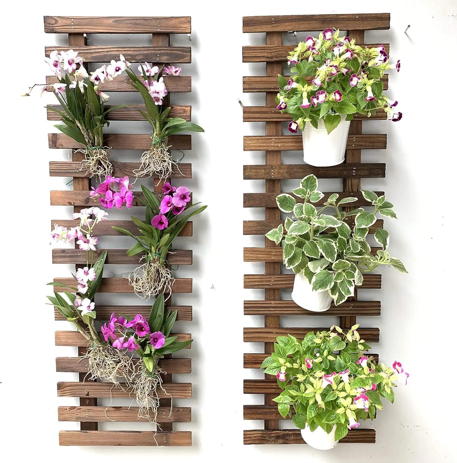 

Hanging Planter for Indoor Plants, Vertical Garden Decor, Large Wall Holder for Succulents and Air Plants