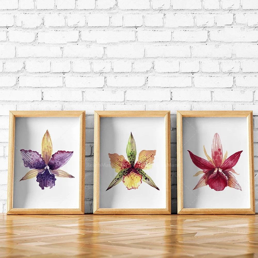 Orchid Watercolor Art Print Set of   Tropical Flower Paintings Printable Wall Art Floral Decor for Summer Plants and Nature Insp