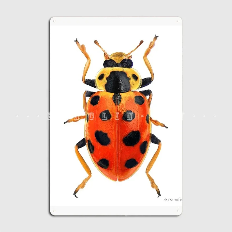 Orange Beetle Metal Plaque Poster Cinema Kitchen Mural Vintage Garage Decoration Tin Sign Poster