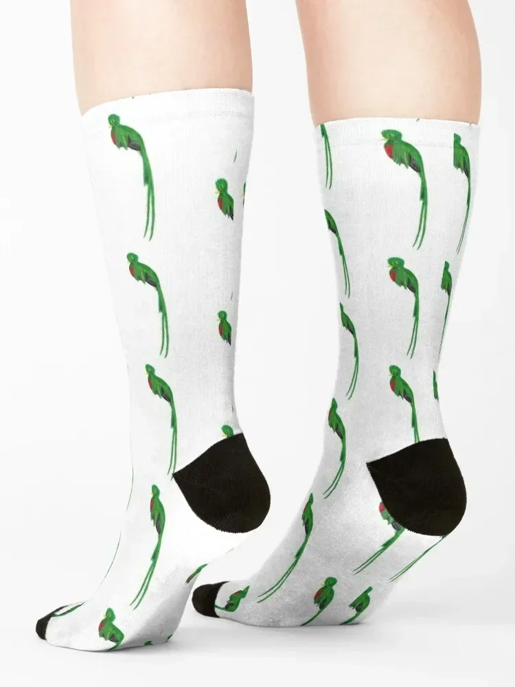 Resplendent Quetzal Guatemala Socks hiphop soccer anti-slip Run golf Boy Socks Women's
