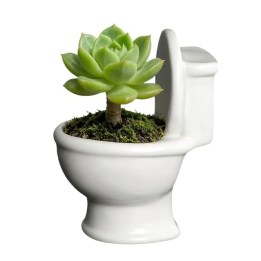 

Ceramic Toilet Bowl Shaped Flower Pot - Unique and Charming Home Decor White