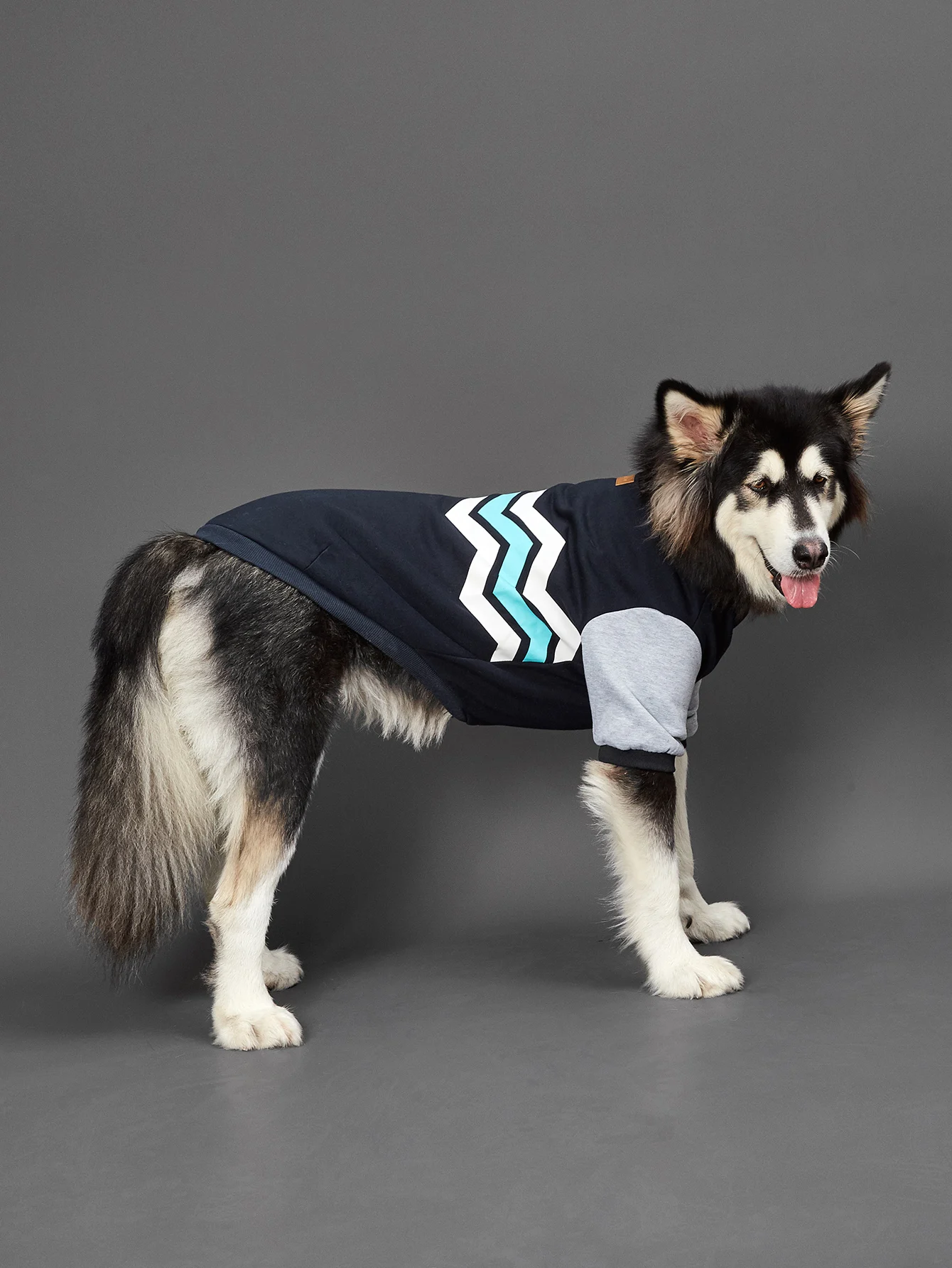 Dog Hoodie Wavy Line for Small Dogs Comfortable Costume Puppy with  Doggie Pet Clothes Cat Apparel