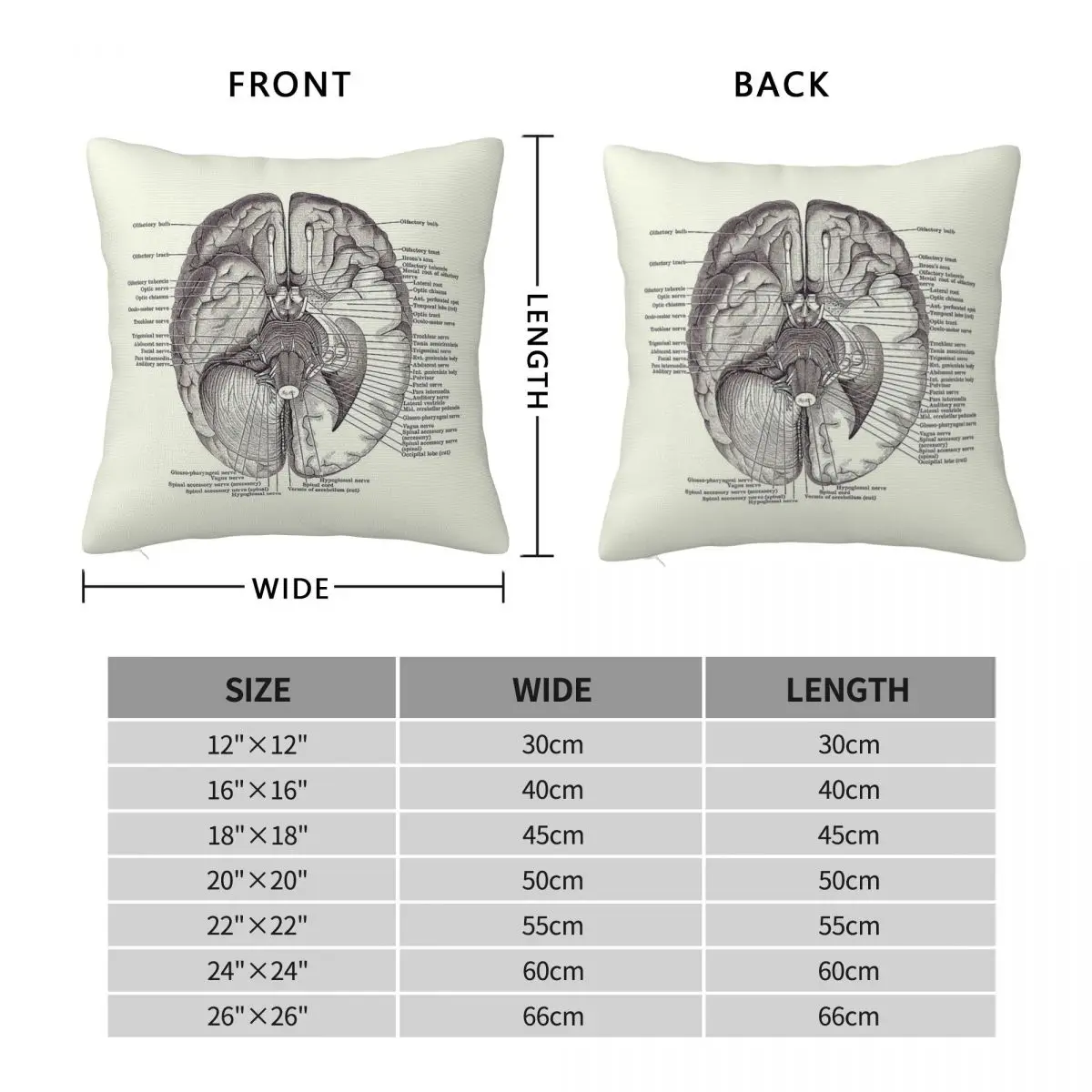 Brain Nervous System Diagram Anatomy Pillowcase Polyester Linen Velvet Pattern Zip Decor Pillow Case Bed Cushion Case