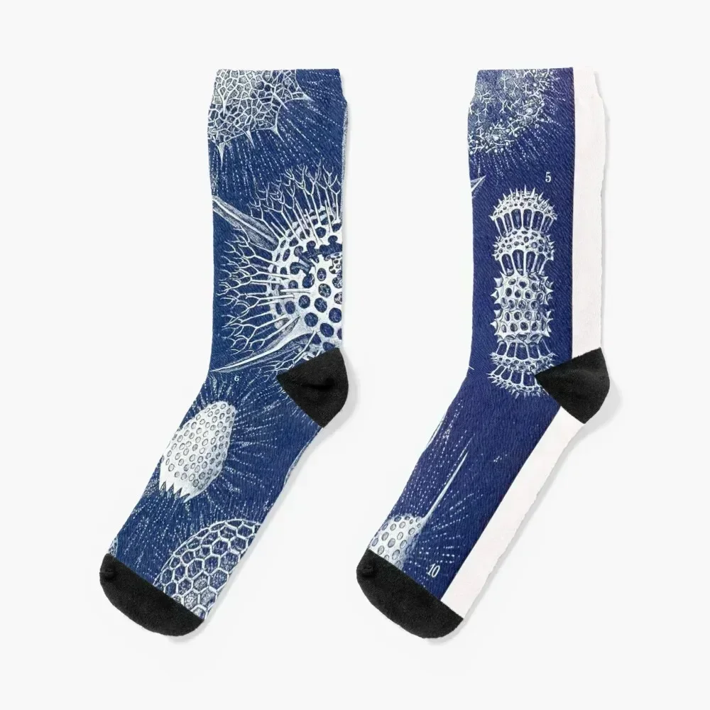 

Radiolarians Socks Children's professional running gifts designer Socks For Women Men's