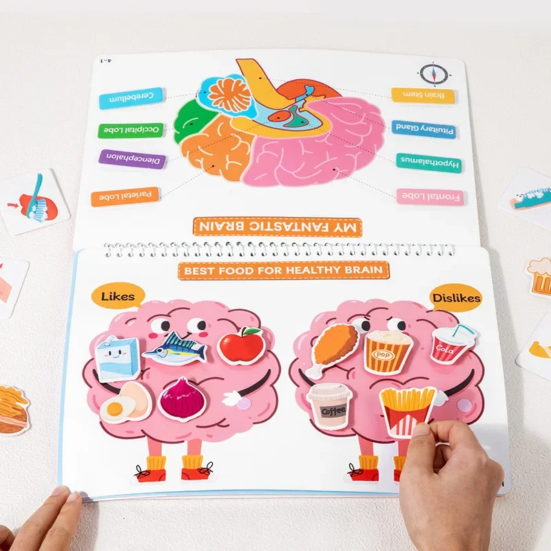 Libro occupato Montessori: libro di attività per l'apprendimento del corpo umano per bambini in età prescolare - Tear & Paste, Flip & Explore Libro silenzioso per l'orecchio dei bambini