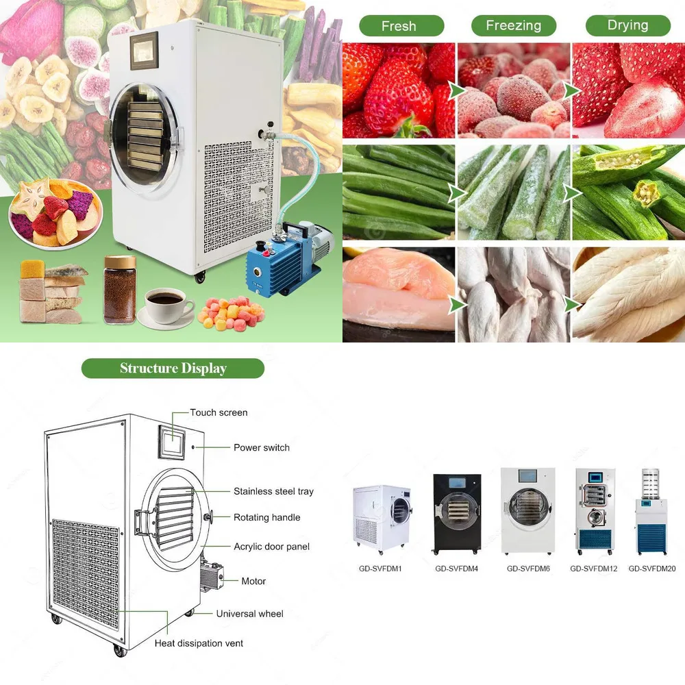Small Freeze Mini Liofilizador Drying Dried Fruit Dryer Australia Home Dehydrator Dry Hine For Food