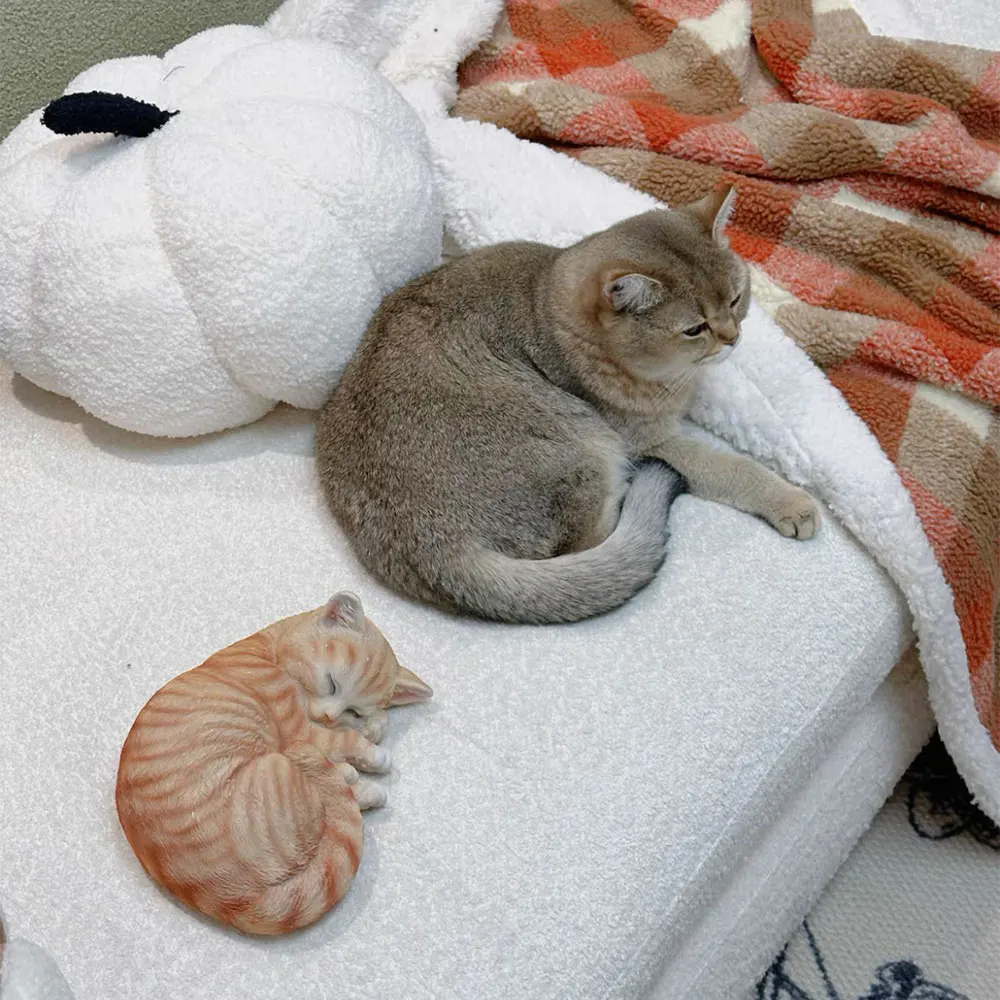 

3D Cat Statue Silicone Candle Mold, DIY for Soy Wax, Resin - Pet Memorial Keepsake, Animal Figurine, Cat Lover, Puppy Lover Gift