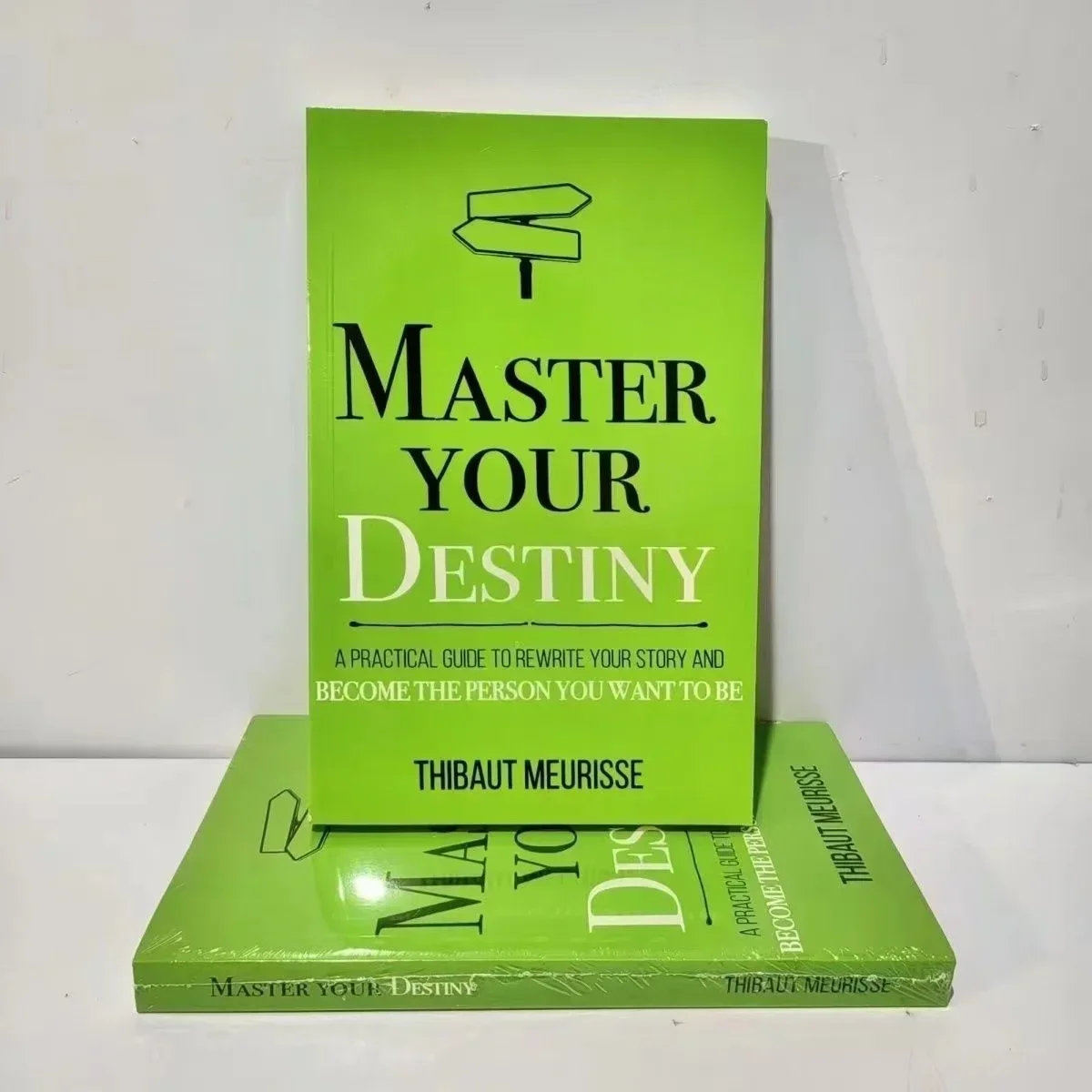 

Master Your Destiny By Thibaut Meurisse Inspirational Literature Works To Control Emotions Novel Book