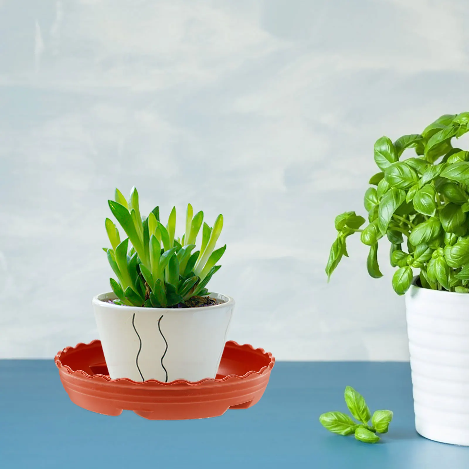 

10 Pcs Flower Pot Trays Plant Dishes Saucer Pots Planter Plate Catch Water Plants Square Drainage Tray Plastic