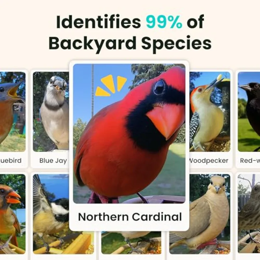 Smart Bird Feeder with Camera, Solar Powered, Wood, Brown, Slow-Motion Video Night Insight, AI Identifies 6000+ Species, Lifeti