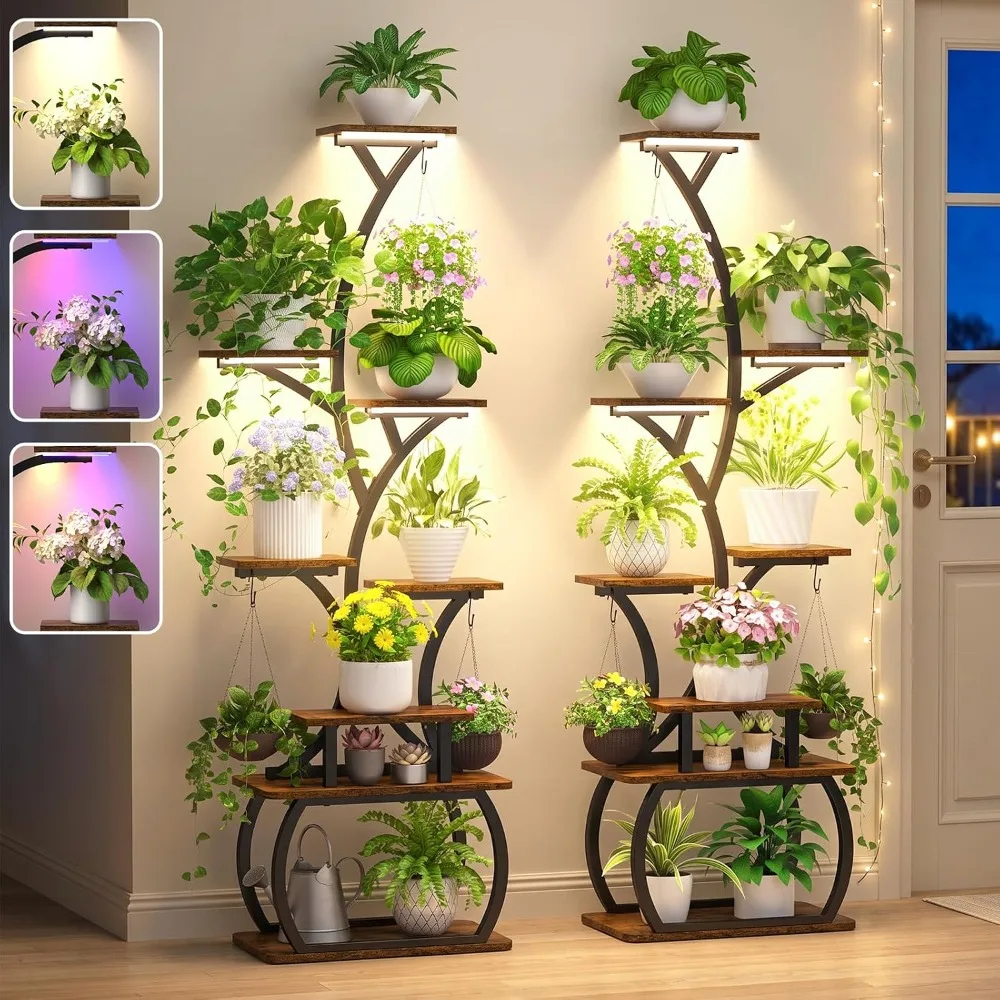 8-Tier 62