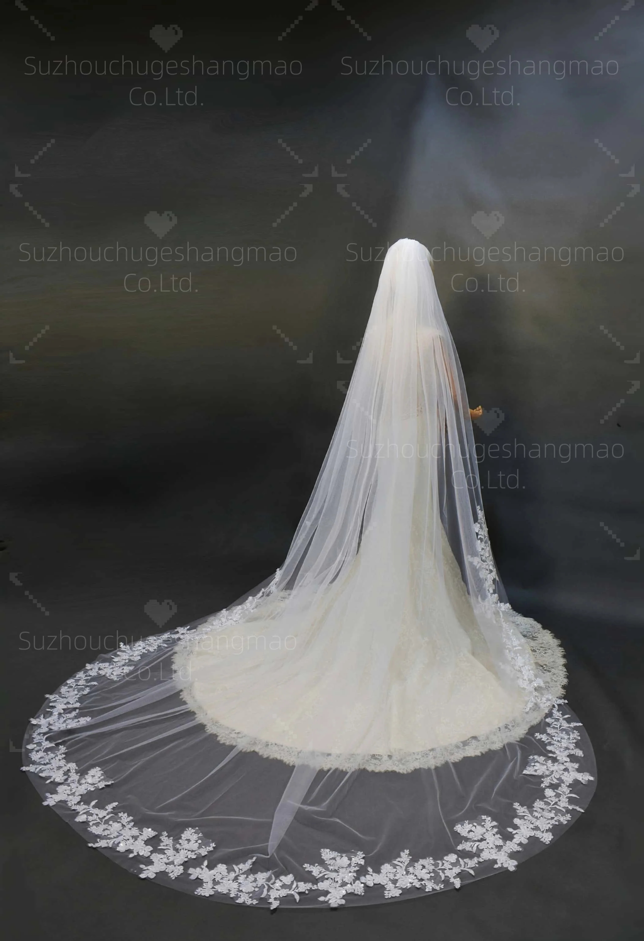 طرحة زفاف حجاب زفاف طويل أبيض / عاجي حافة دانتيل زينة حجاب كاتدرائية شبكي ناعم طبقة واحدة