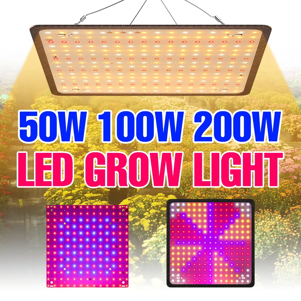 200W LED Full Spectrum Grow Light Quantum Board Plant Lamp Indoor Flower Greenhouse Tent Cultivation Fill Lighting US/EU Plug