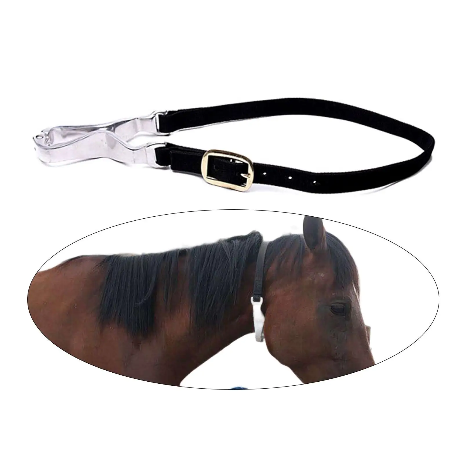 

Horse Throat Clip Farm Supplies Care Tool Portable Horse Gag Clip Horse Care Tool Horse Mouth Gag Bit for Riding and Turnout