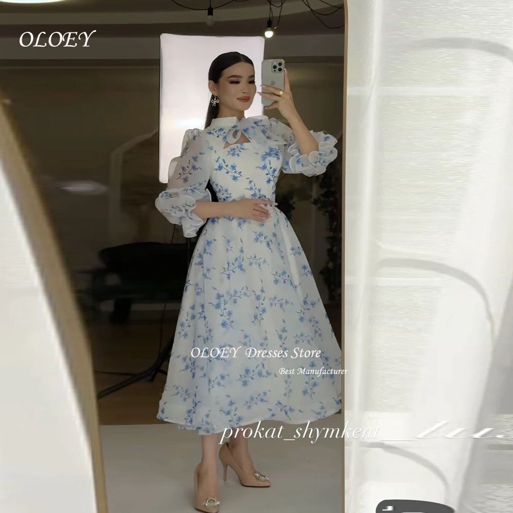 

OLOEY Customized Simple Fashion Pleat Special Occasion Dresses Print Bespoke Occasion Dresses Casual A-line Saudi Arabia
