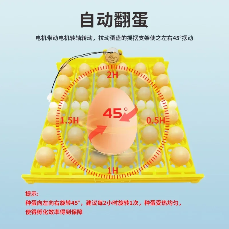 NEW Four Leaf Flower Fully Automatic Egg Flipping Tray, Small Size, 36 Eggs, 156 Birds