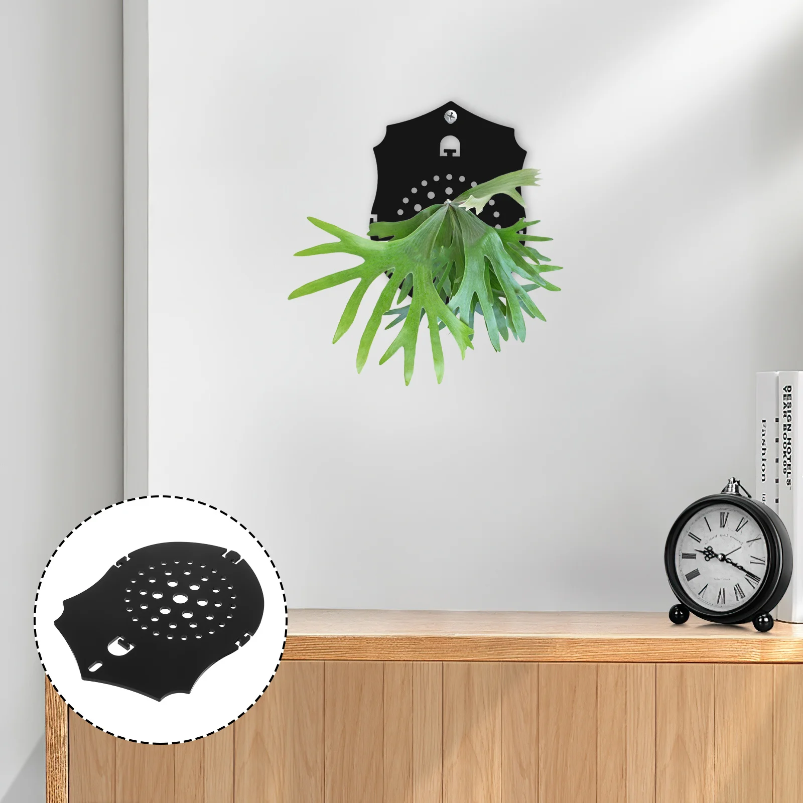 

Frosted Black Acrylic Fern Planting Board Indoor Wall Planter Hanging Plant Stand for Orchids Succulents