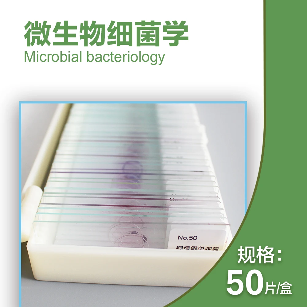 50PCS Microbiological Bacterial Specimens Permanent Slices Specimen Scetion Microscope Slides for Medical Study