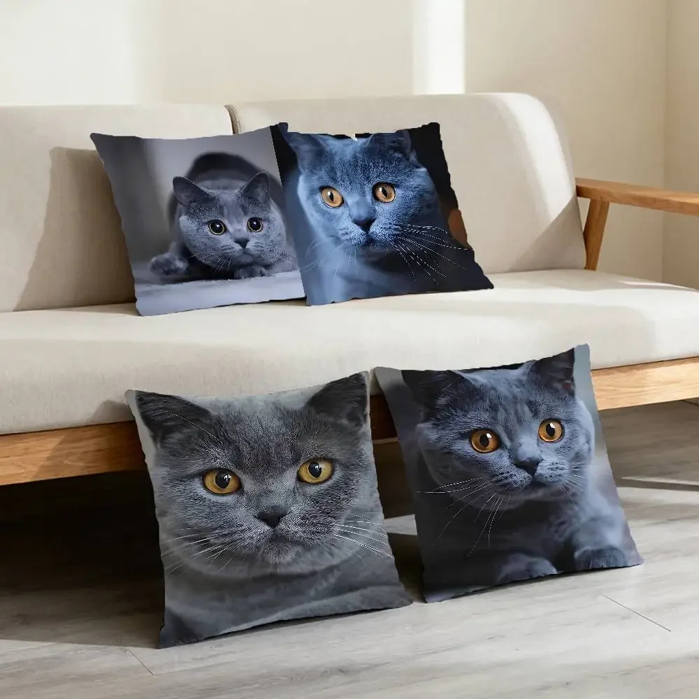 British Shorthair Russian Pillow Case Elegant Couple Home Living Room Bedroom Decorative Rectangle Pillowcase Sofa Cushion Cover