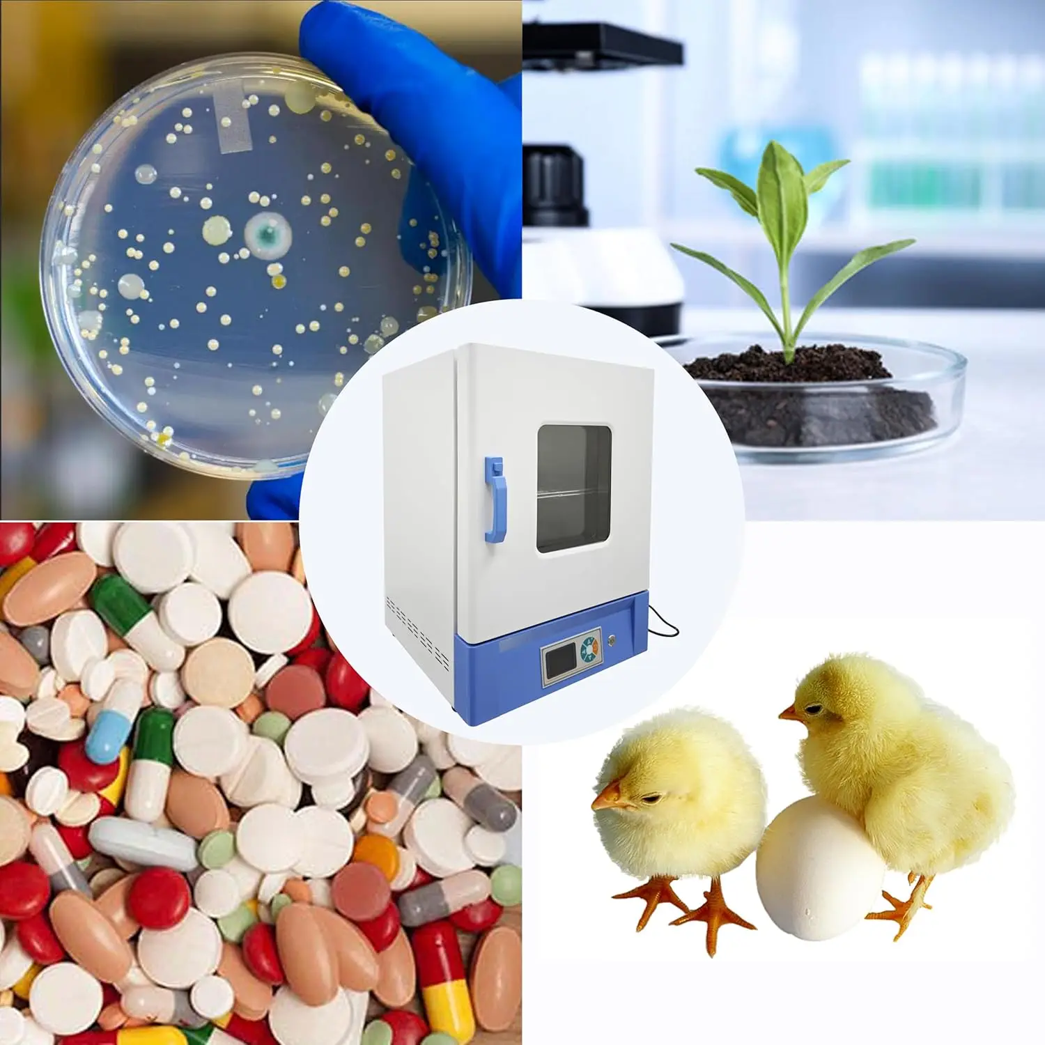 40L Lab Constant Temperature Incubator, Temperature Control 5-65℃, Lab Electrothermal Incubator Chamber for Seed Culture, 110V