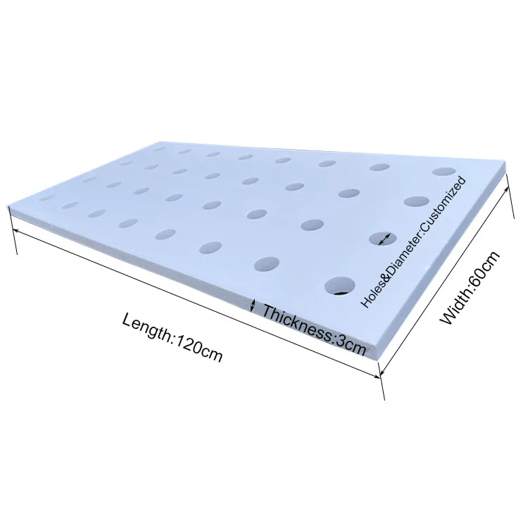 5PCS Hydroponics DWC Float Rafts Growing System Lettuce Planting Plate Hydroponics Vegetable DWC Floating Raft Board 120*60*3cm