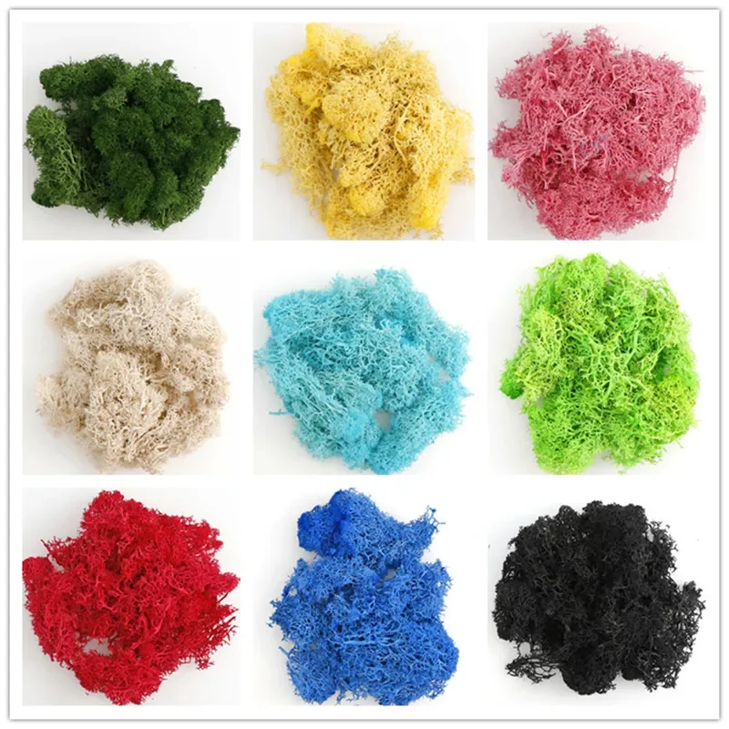 20/40g Natural Norwegian Reindeer Moss Preserved Dried Craft Flower Stamen Decoration Wedding Ornament Fairy Garden Decor Access