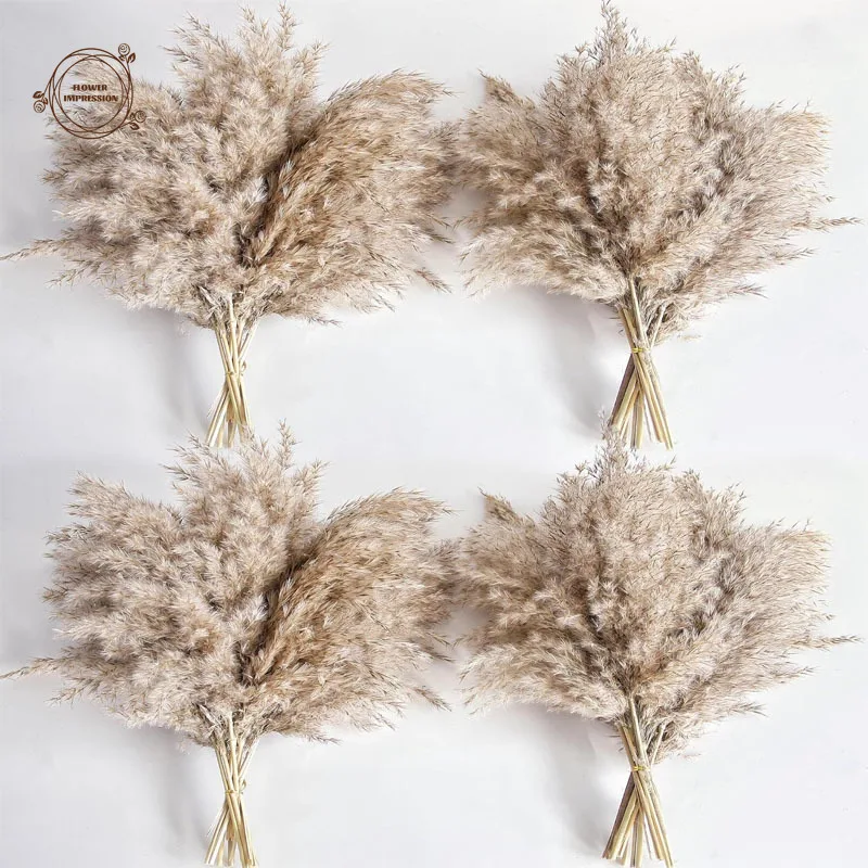23/47 Piezas de Hierba de Pampas Seca Natural, para Decoración del Hogar, Flor Artificial para Arreglos de Temporada, Manualidades, Regalos, Scrapbooking, Accesorios para Fotos