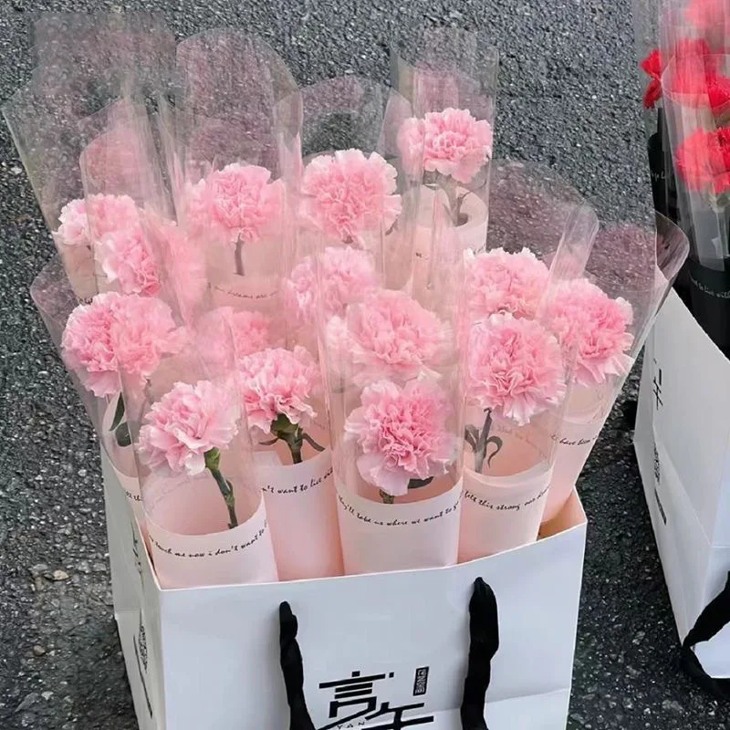 Flor de Jabón de Clavel, Regalo para el Día de San Valentín, Día del Maestro, Día de la Madre, Decoración para el Hogar, Fiestas, Tiendas, Eventos y Celebraciones