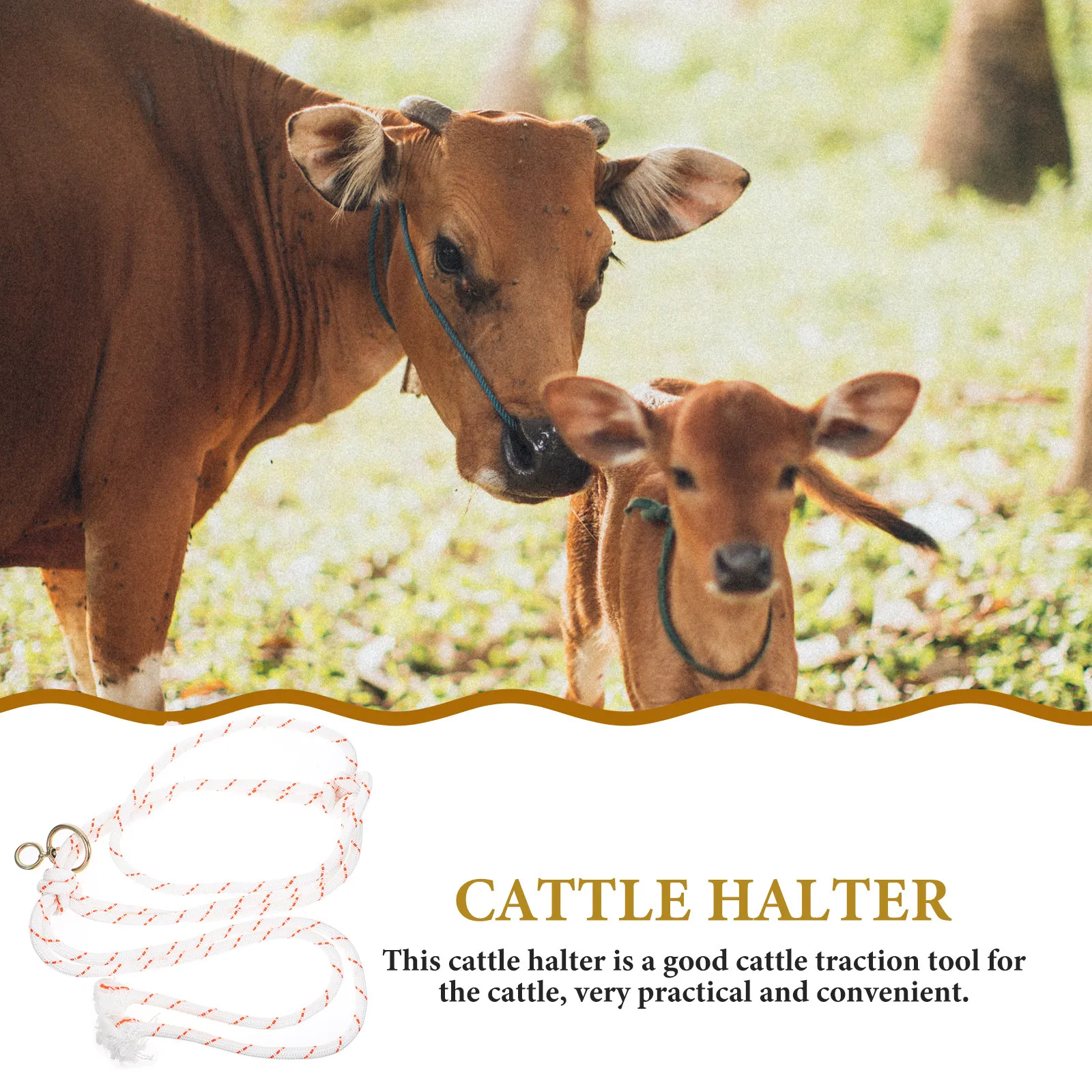 

Профессиональный недоуздок для крупного рогатого скота: прочный, регулируемый, портативный, с веревочным тросом для безопасного управления