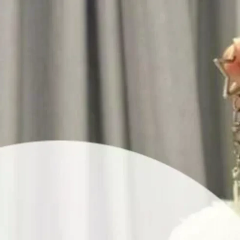 

Plush Cartoon Seal Snowman Doll Keychain; Simulation Ocean Seal Themed Bag Decor