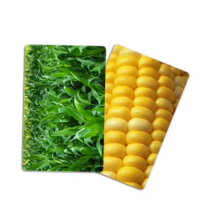 Customized RFID Corn Material Biodegradable PVC Card PLA Recyclable Material NFC Card Business Card Membership Card
