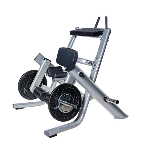 

Steel Kneeling Leg Curl Trainer Fitness Equipment for Chest Back Shoulder Arm Bodybuilding Functions