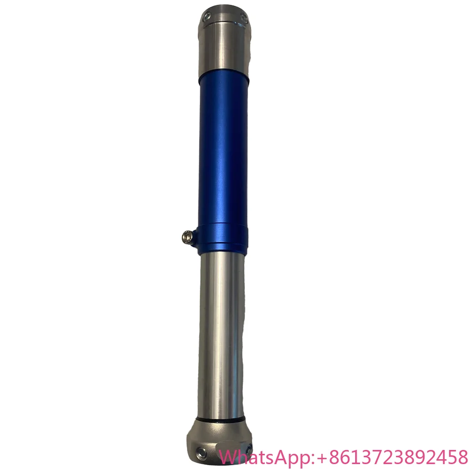 

Цельный трубчатый протез: регулируемые встроенные имплантаты и интервенционные материалы