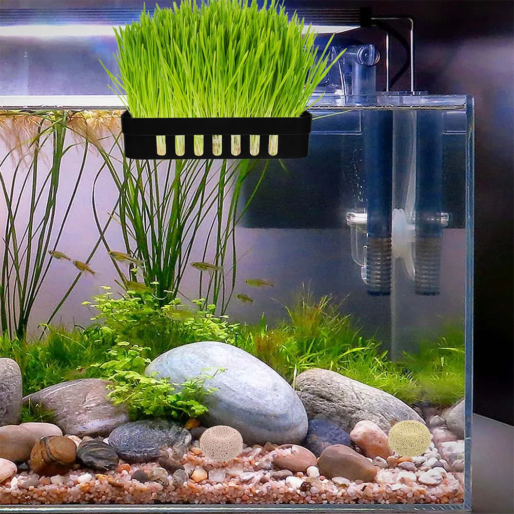 2Pcs Aquarium Plant Holder with Suction Cups Hanging Perforated Pots for Aquascaping Live Plants Fish Tank Decoration Hydroponic