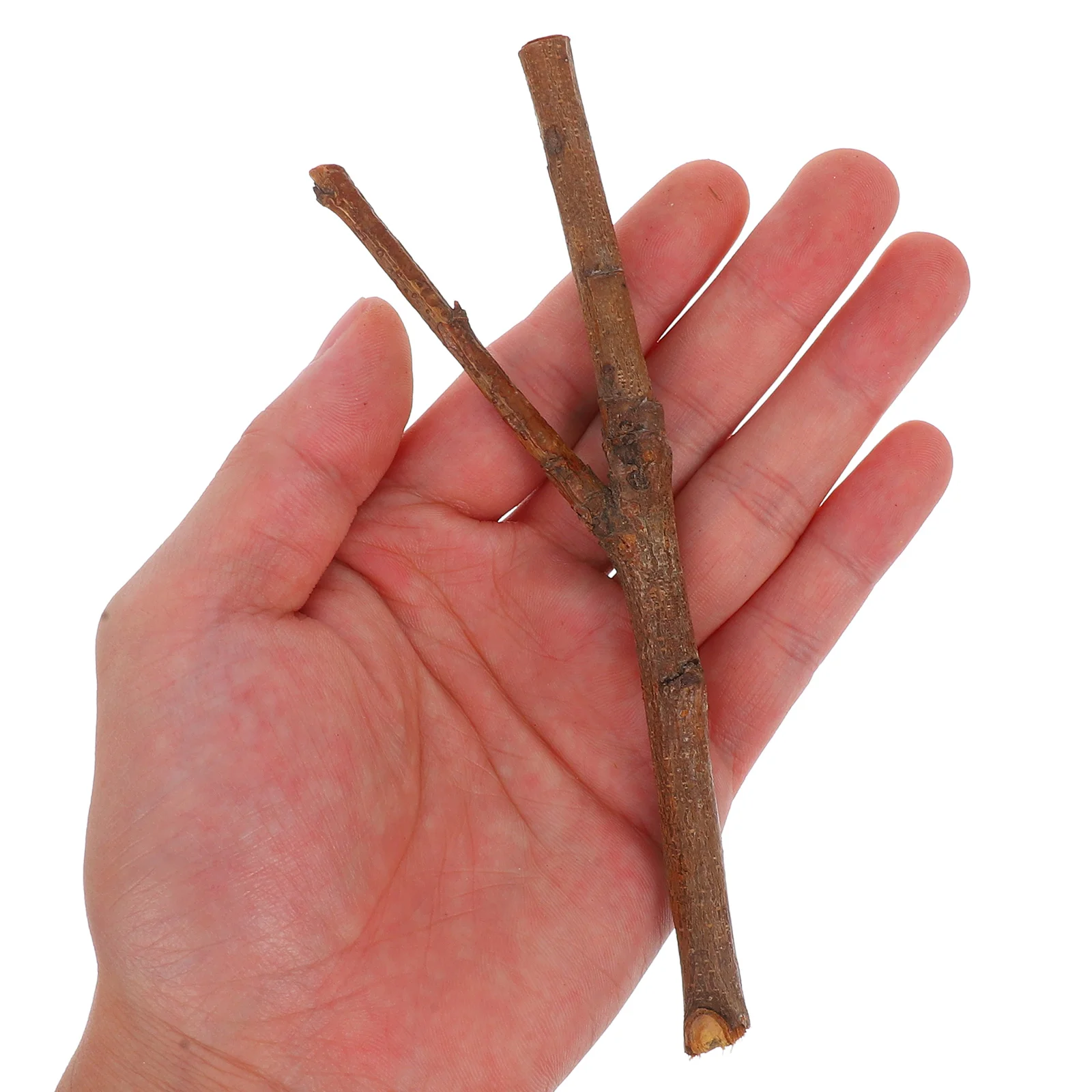 20szt Diy Wood Stick Craft Y Shaped Natural Gaigs Sticks Wooden Stick Log Photo Props Stick Diy Craft Sticks For Crafting Photo