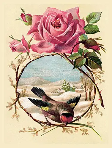 Beautiful Goldfinch Metal Tin Sign Retor Wall Decor Tin Sign 8x12 Inch