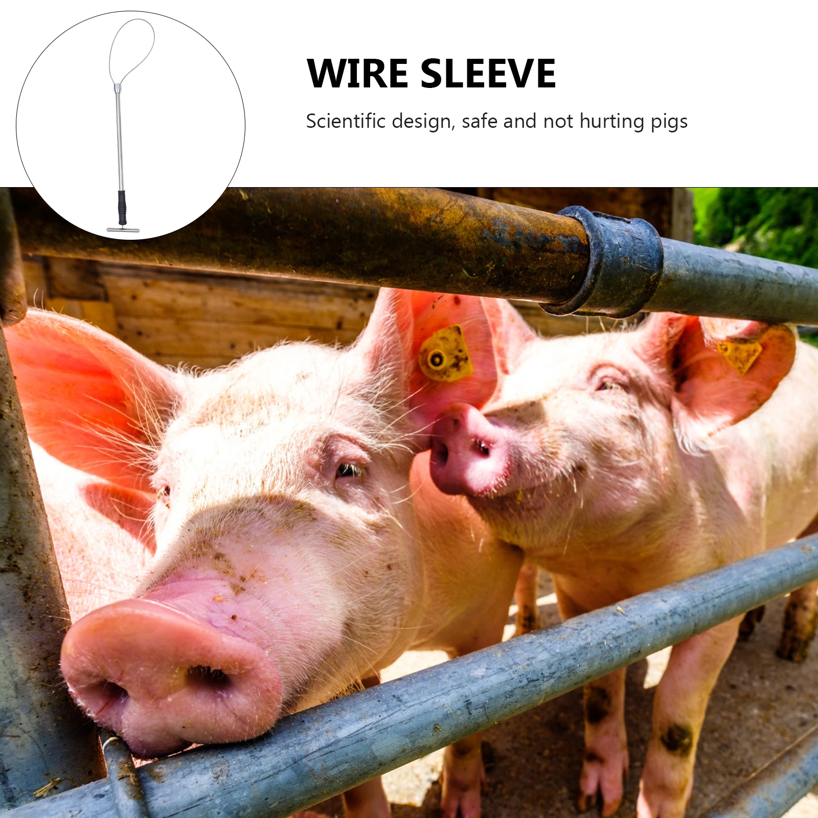 Stainless Steel Holder Catcher 1PC Equipment Multi Strand Wire Rope Safe Design for Pigs Cattle Sheep Metal Pig Rope