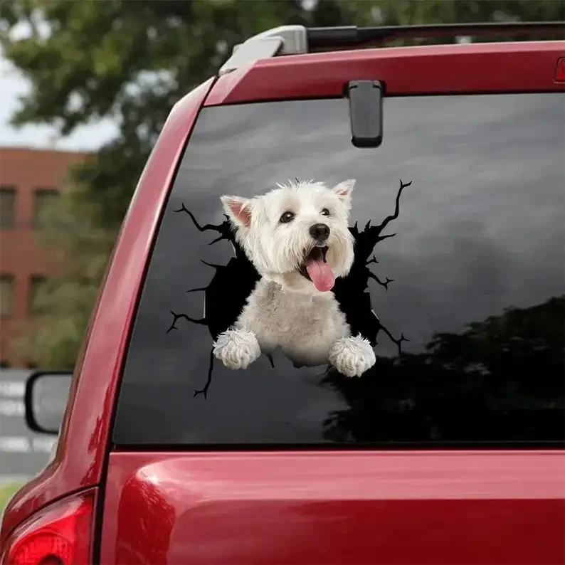 West highland branco terrier decalque-se encaixa carros, janelas, laptops e qualquer superfície lisa, adesivos para cães, adesivos para animais de