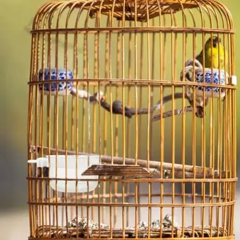 6 最佳銷售 鳥食碗 - №2