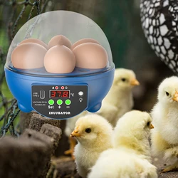 Mini Egg Incubator Automatic Hatching Brooder Farm Bird Quail Chicken Poultry Farm Hatcher with Light Chicken Hatcher USB