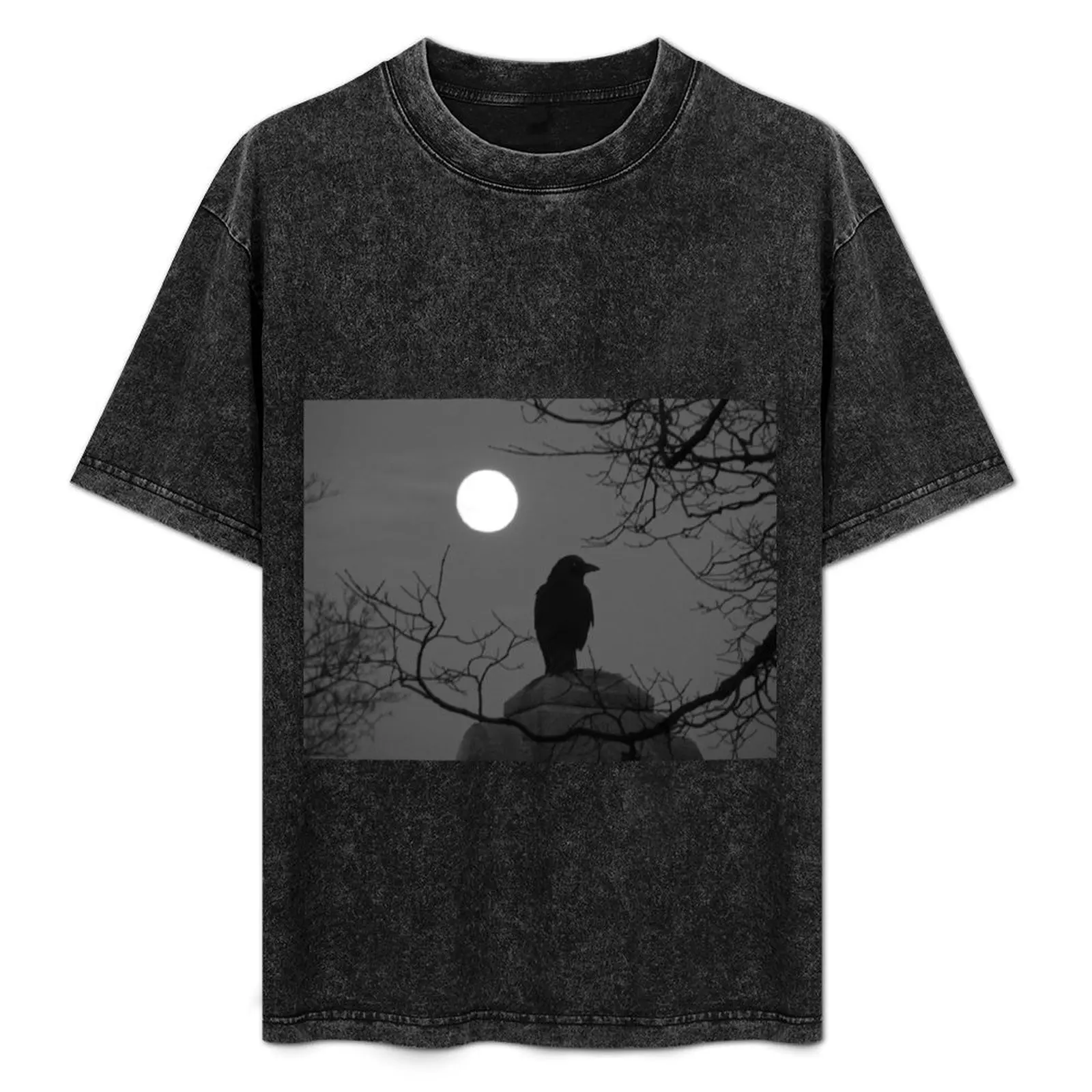 

Moonlit Crow T-Shirt Casual Loose Fit Summer Tee Shirt