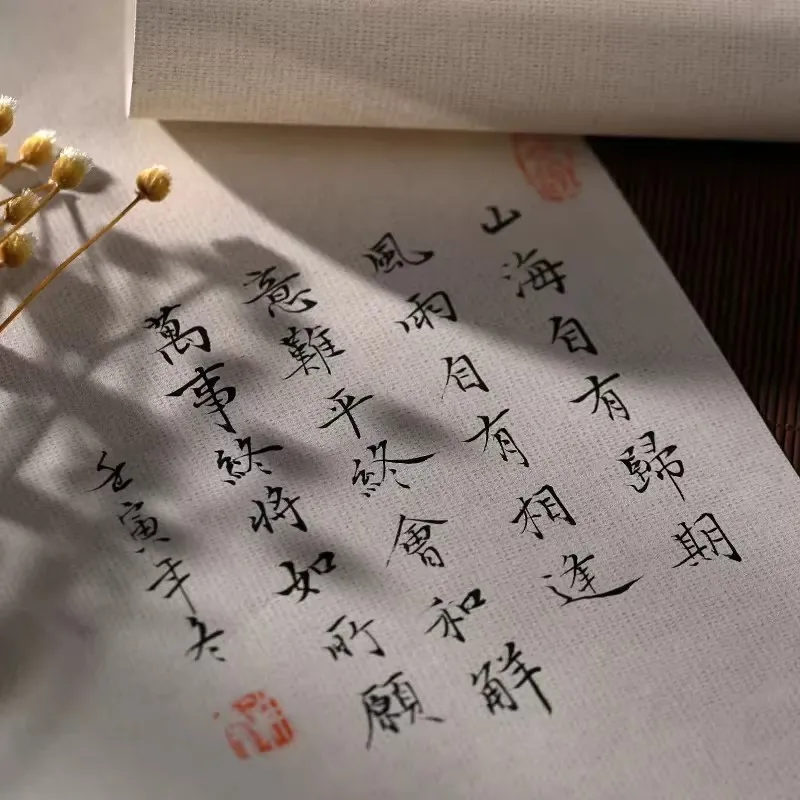 20pcs Chinese Calligraphy Xuan Paper, Wax-resistant Dyed Stationery Sheets, Smooth Semi-cooked Rice Paper 17x34cm